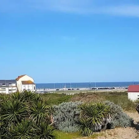Stella-marluis